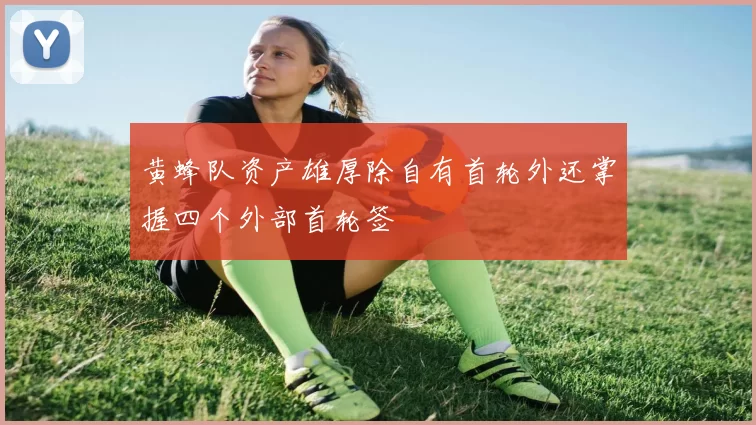 黄蜂队资产雄厚除自有首轮外还掌握四个外部首轮签